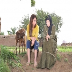 Mai selim sur yala.fm